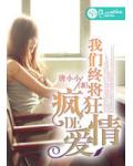 我们终将疯狂的爱情