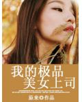 我的极品美女上司