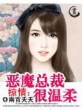 掠情:恶魔总裁很温柔