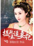 摄政王追妻记