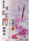 攻心计：薄命红颜痴情君