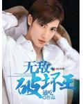 无敌破坏王