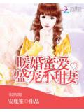 暖婚蜜爱:盛宠小甜妻