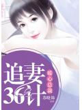 暖心总裁：追妻36计
