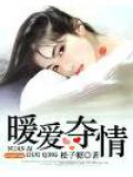 暖爱夺情