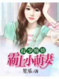 权少缠情：霸上小萌妻