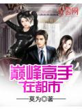 巅峰高手在都市
