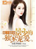 枕上娇妻：景少的独家宠爱