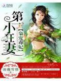 枭宠毒妃:第一小狂妻