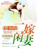 楚少的二嫁闲妻