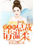 爱未眠：总裁，请温柔！
