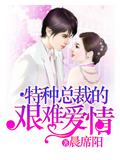 特种总裁的艰难爱情