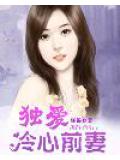 独爱冷心前妻