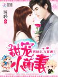 甜宠小萌妻:再嫁亿万首席
