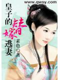 皇子的替嫁逃妻