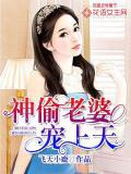 神偷老婆宠上天