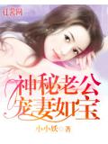 神秘老公宠妻如宝