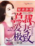 秘密新婚,总裁爱妻极致