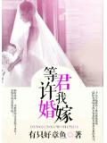 等君许我婚嫁