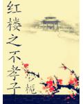 红楼之不孝子