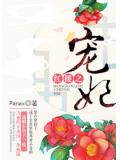 红楼之宠妃