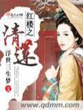 红楼之清