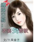 缠绵交易：老婆欠管教