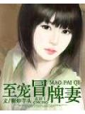 至宠冒牌妻