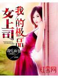 我的极品女上司