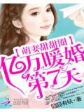 萌妻甜甜圈:亿万暖婚第7天