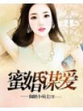 蜜婚谋爱