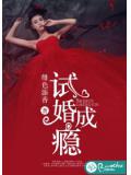 试婚成瘾