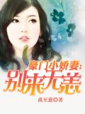 豪门小娇妻：别来无恙
