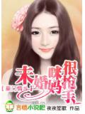 豪门情斗:未婚妈咪很抢手