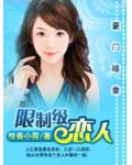 豪门暗妻：限制级恋人