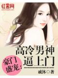 豪门盛宠：高冷男神逼上门