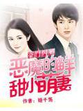 豪门闪婚:恶魔的鲜甜小萌妻