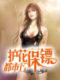 护花保镖都市行