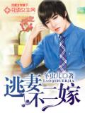 逃妻不二嫁