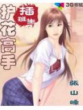 护花高手插班生
