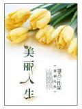 重生美丽人生