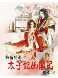 锦绣花嫁:太子妃出阁记