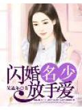 闪婚名少放手爱
