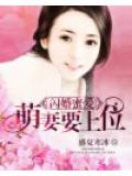 闪婚蜜爱：萌妻要上位