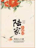 陆家小媳妇