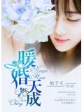 暖婚天成