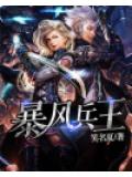 暴风兵王