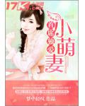 首席独爱小萌妻