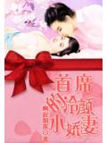 首席的冷颜小娇妻