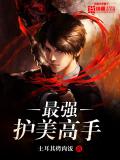 最强护美高手